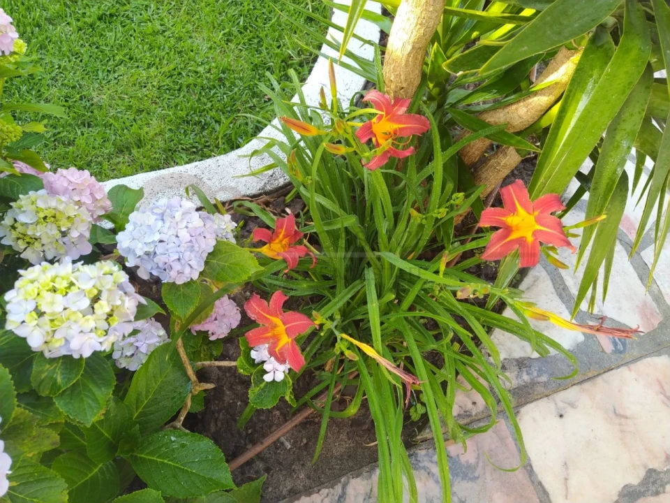 Moradia T4 para Venda em Charneca de Caparica e Sobreda Foto 17