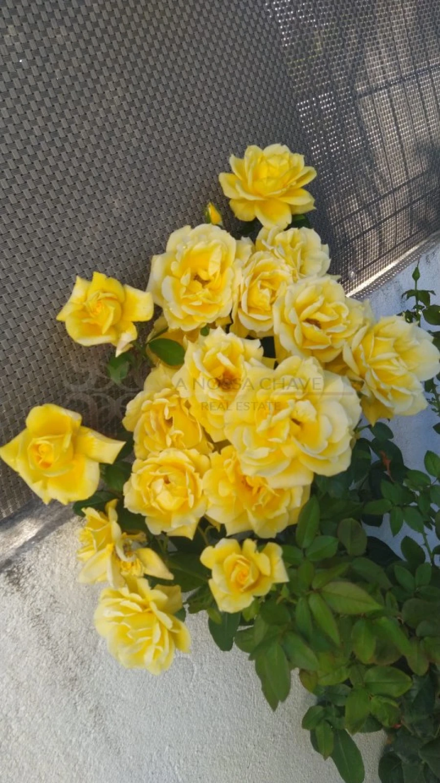 Moradia T4 para Venda em Charneca de Caparica e Sobreda Foto 3