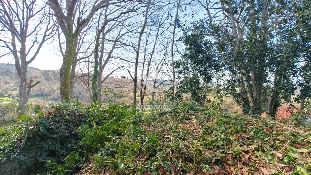 Moradia T3 para Venda em Bico e Cristelo Foto 6