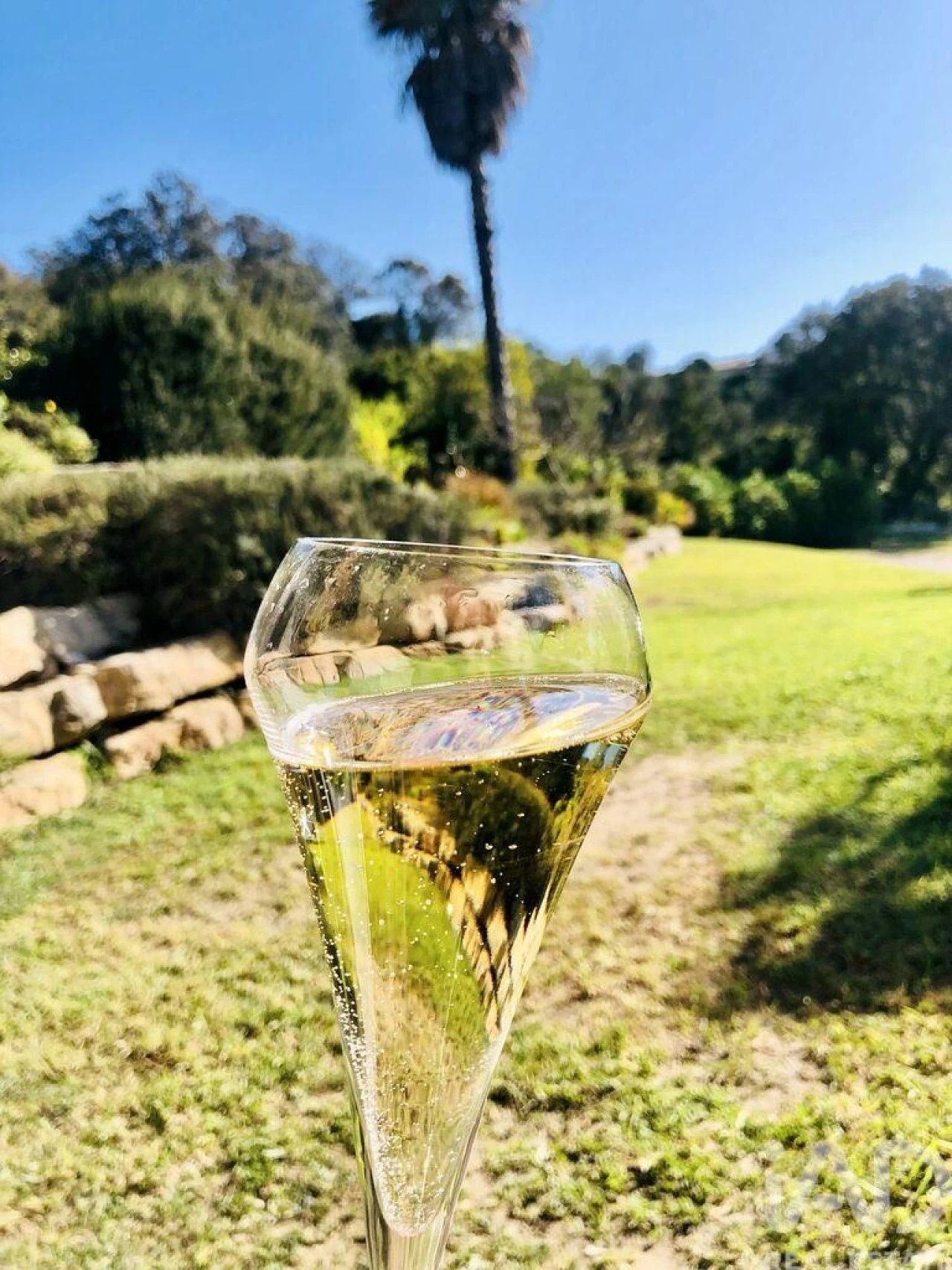 Moradia T6 para Venda em Conceição e Estoi Foto 6