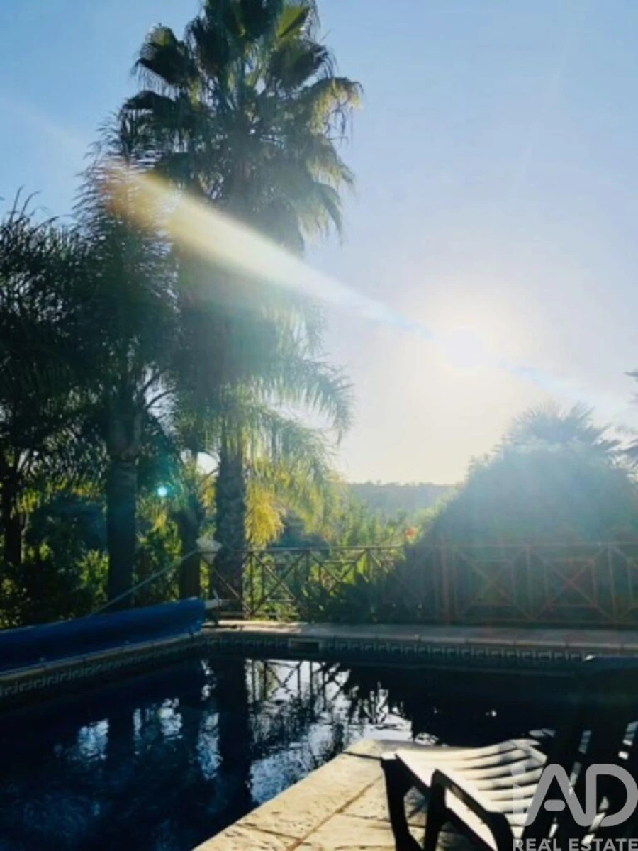 Moradia T6 para Venda em Conceição e Estoi Foto 3