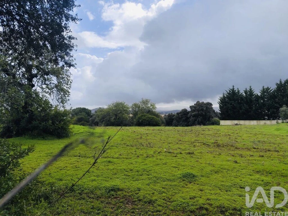 Terreno para Venda em São Brás de Alportel Foto 2