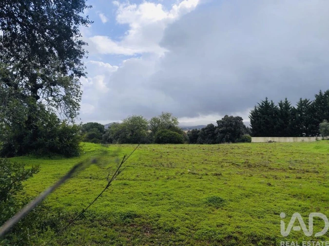 Terreno para Venda em São Brás de Alportel Foto 2
