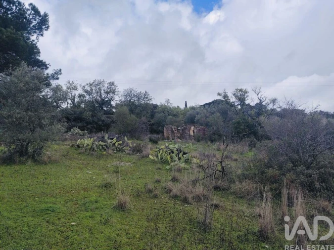 Terreno para Venda em São Brás de Alportel Foto 4