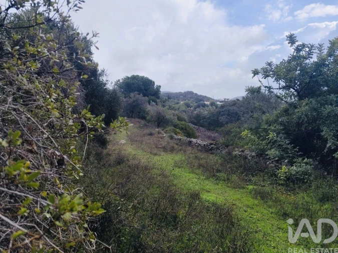 Terreno para Venda em São Brás de Alportel Foto 6