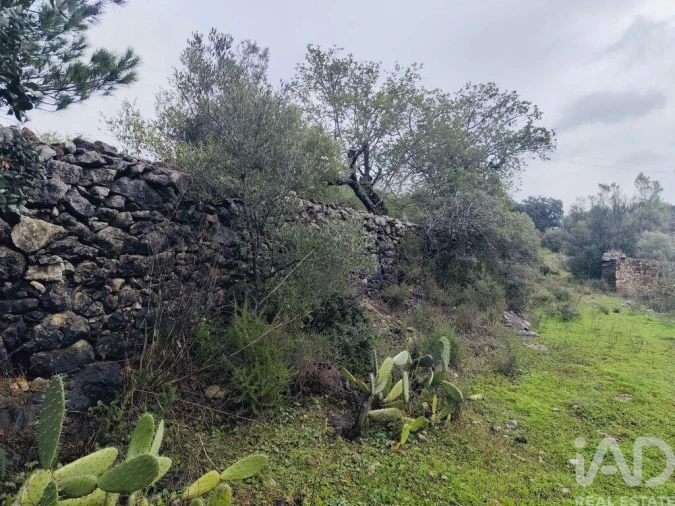 Terreno para Venda em São Brás de Alportel Foto 3