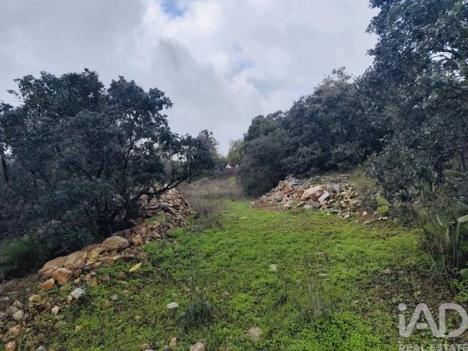 Terreno para Venda em São Brás de Alportel Foto 1