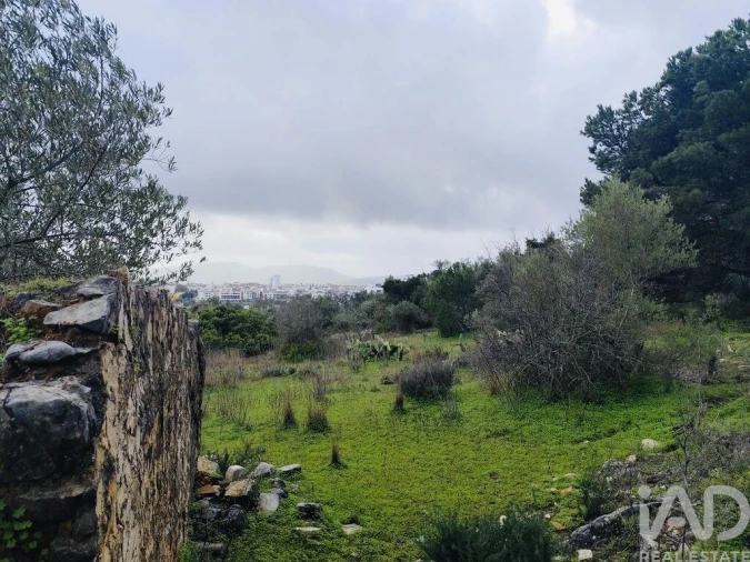 Terreno para Venda em São Brás de Alportel Foto 5