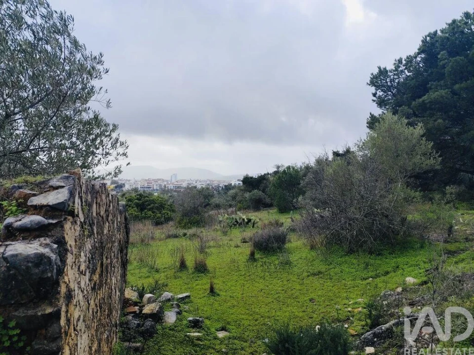 Terreno para Venda em São Brás de Alportel Foto 5