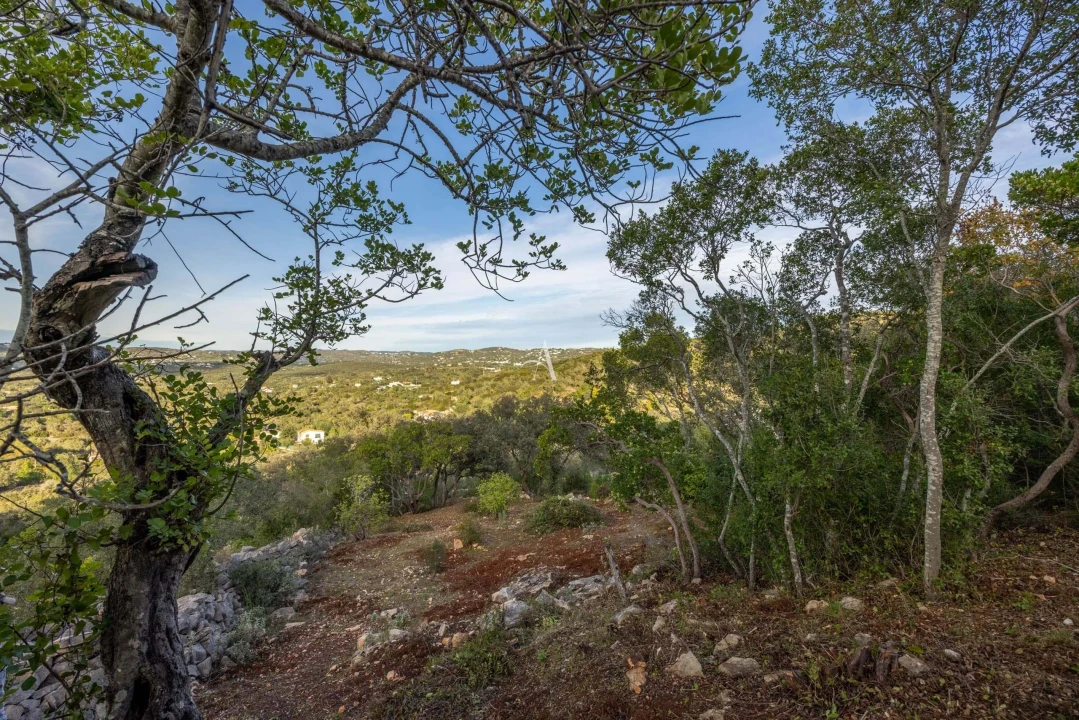 Apartamento T3 para Venda em Santa Barbara de Nexe Foto 30