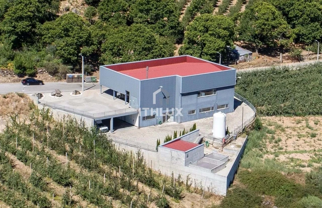 Armazém para Venda em Santa Cruz Foto 8