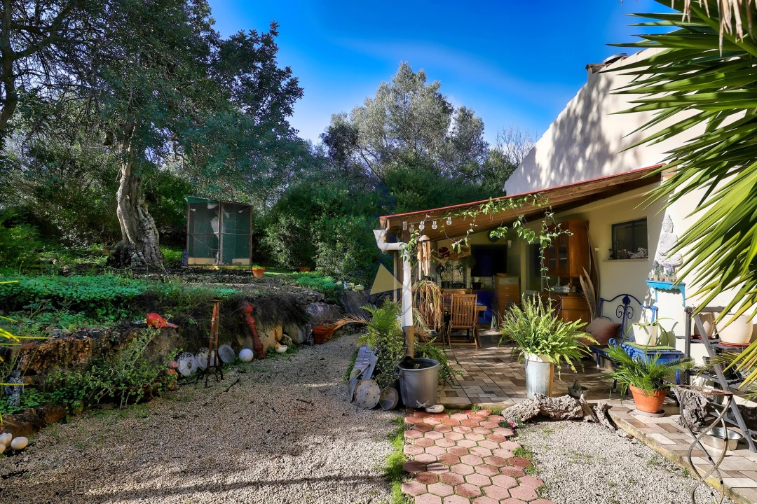 Quinta T6 para Venda em São Bartolomeu de Messines Foto 43