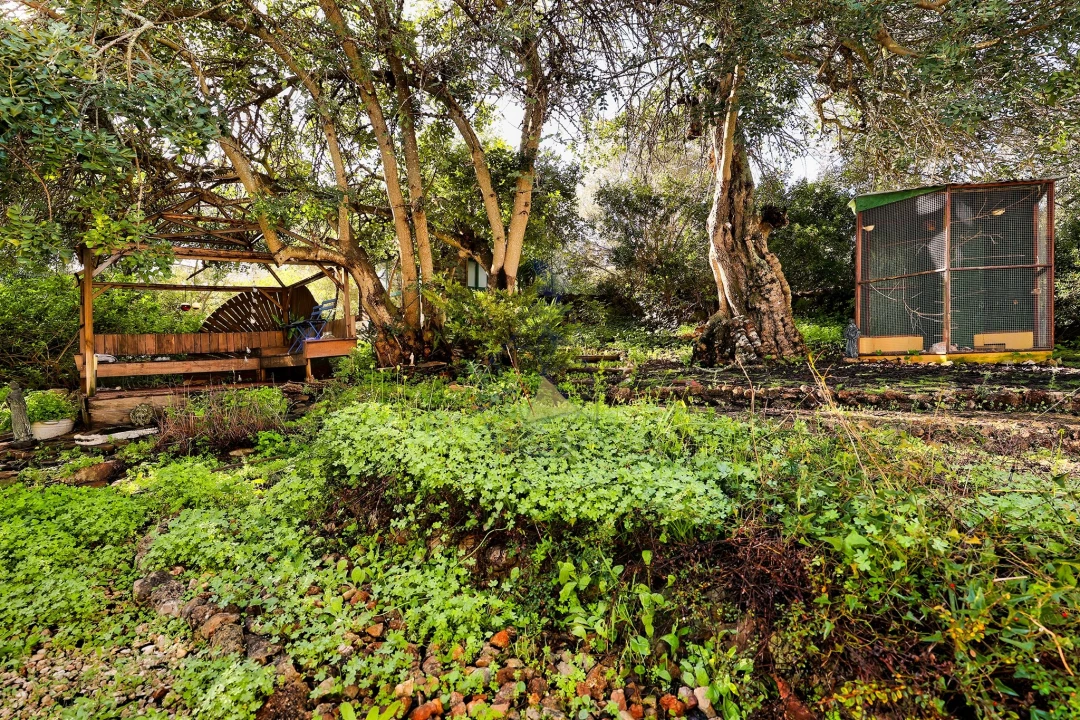 Quinta T6 para Venda em São Bartolomeu de Messines Foto 44