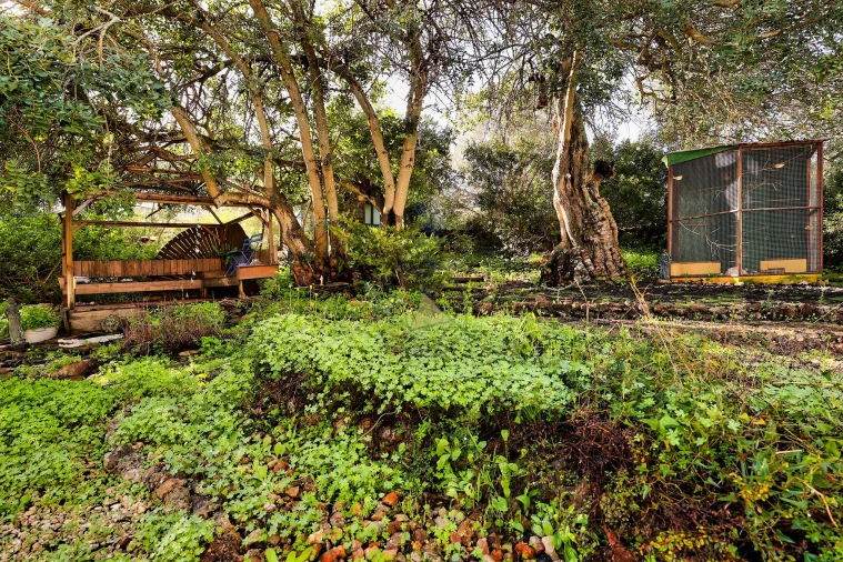 Quinta T6 para Venda em São Bartolomeu de Messines Foto 44