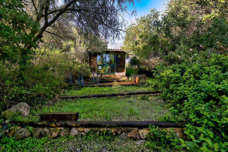 Quinta T6 para Venda em São Bartolomeu de Messines Foto 46