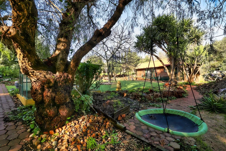 Quinta T6 para Venda em São Bartolomeu de Messines Foto 52