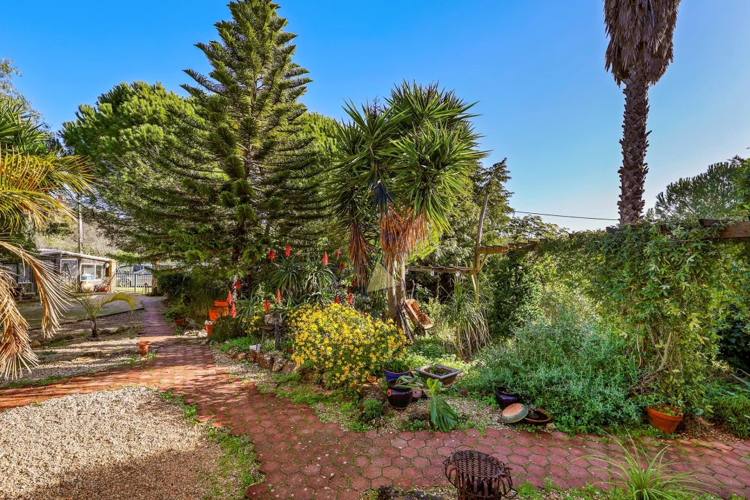 Quinta T6 para Venda em São Bartolomeu de Messines Foto 64