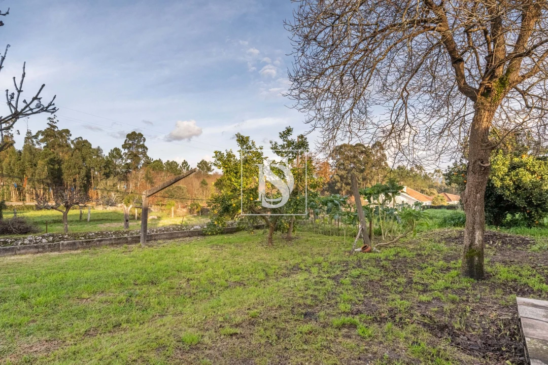 Moradia T4 para Venda em Alvarães Foto 28