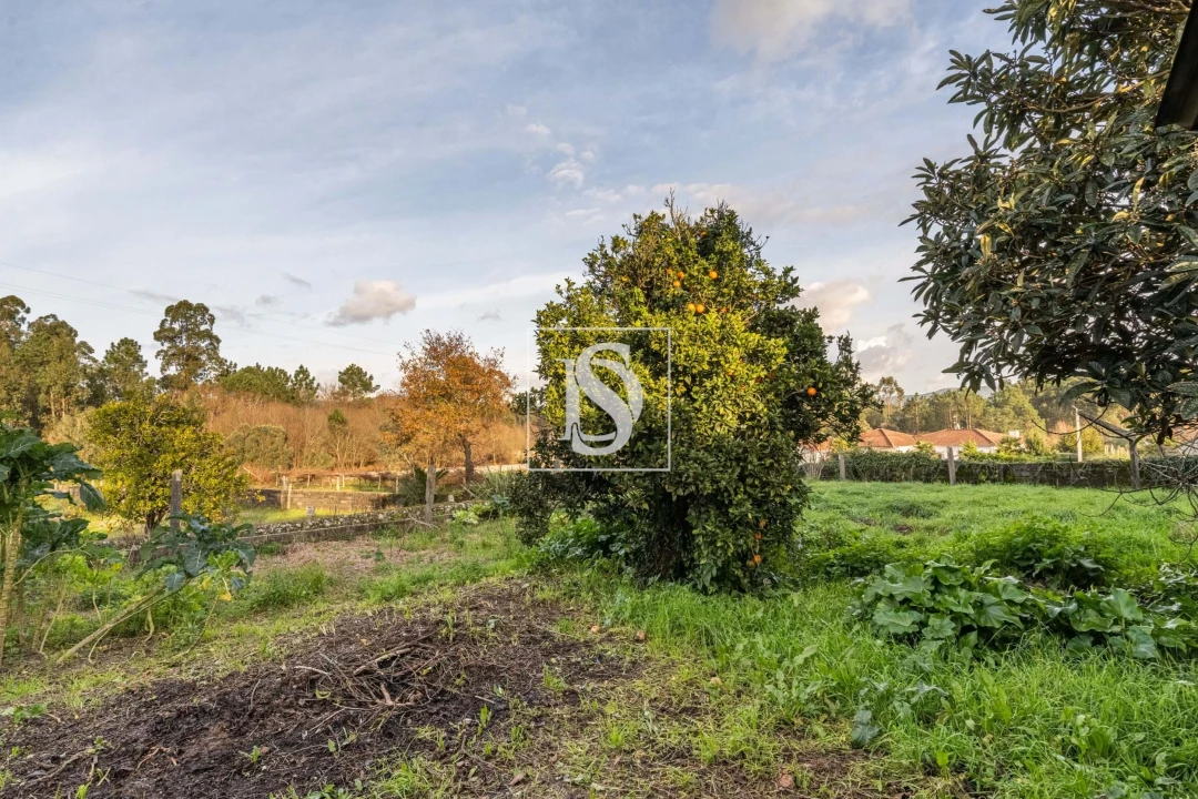 Moradia T4 para Venda em Alvarães Foto 30