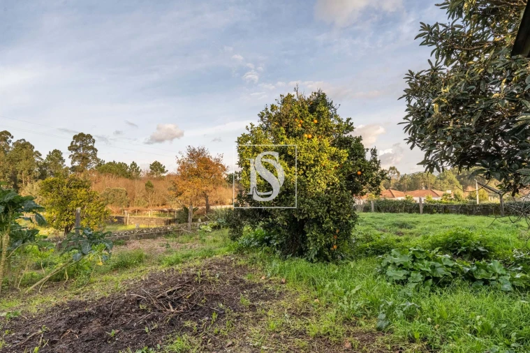 Moradia T4 para Venda em Alvarães Foto 30