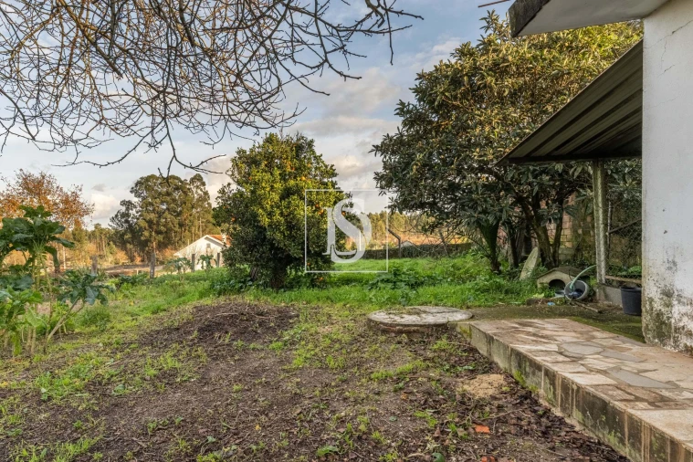 Moradia T4 para Venda em Alvarães Foto 29