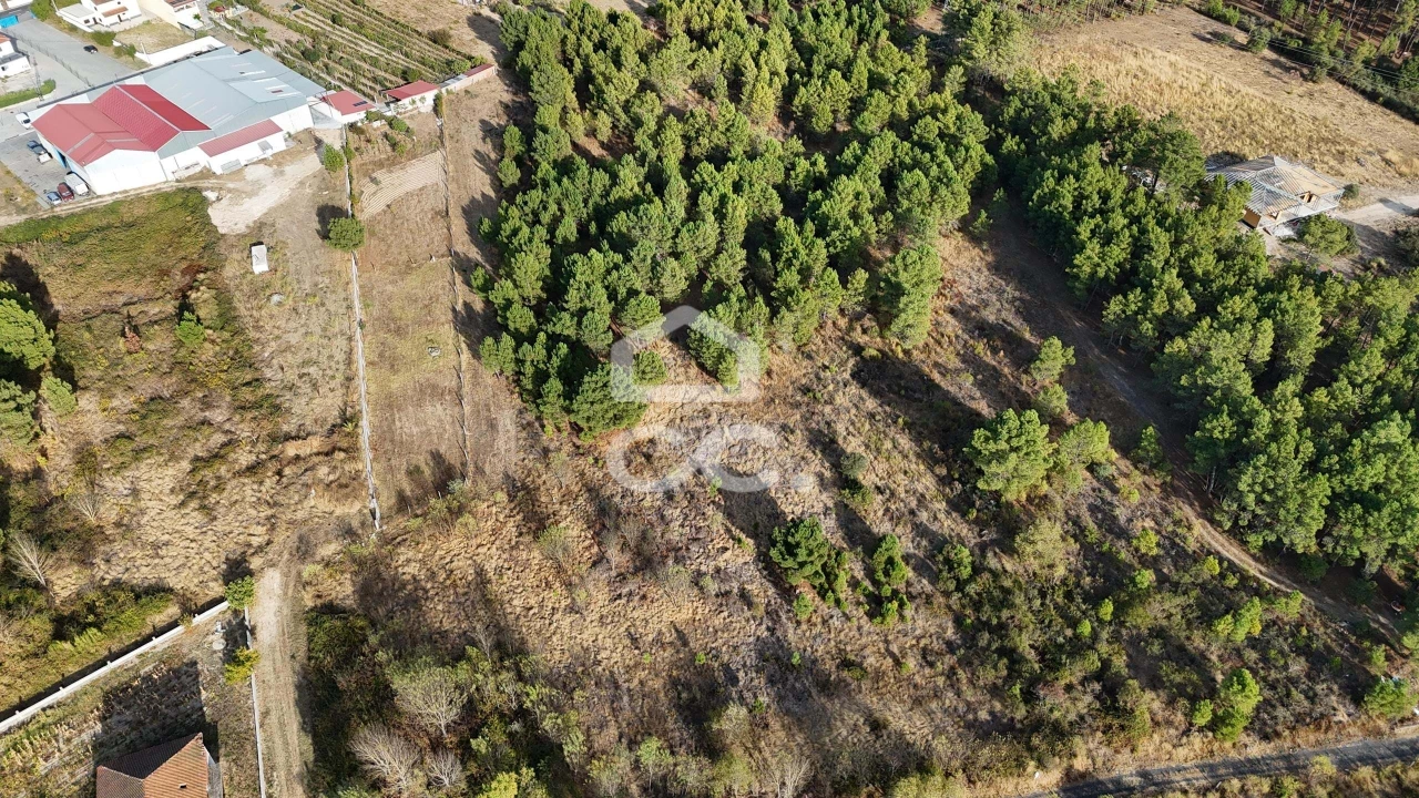 Terreno para Venda em Santa Maria Maior Foto 6
