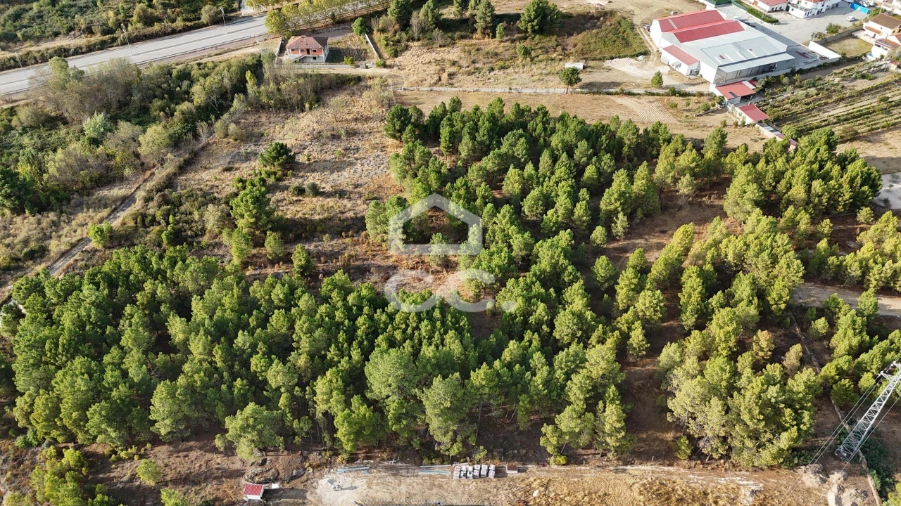Terreno para Venda em Santa Maria Maior Foto 11