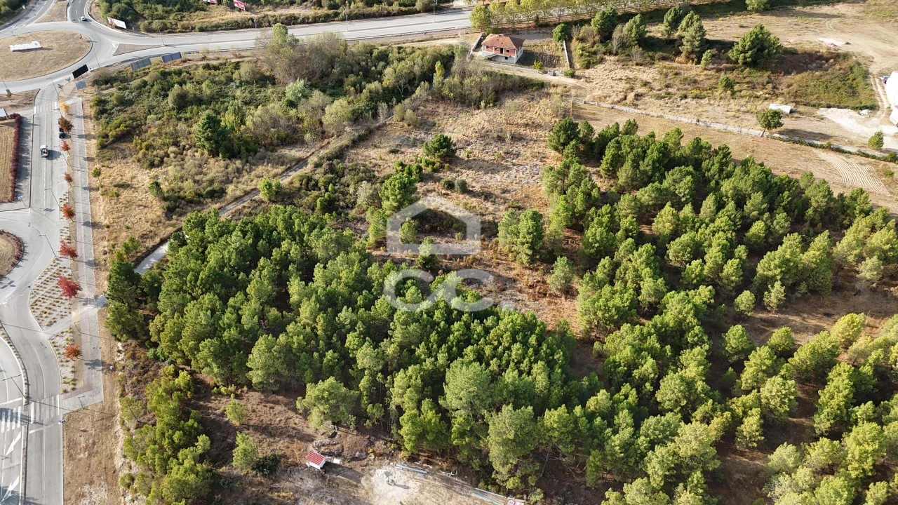Terreno para Venda em Santa Maria Maior Foto 5