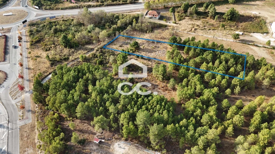 Terreno para Venda em Santa Maria Maior Foto 9