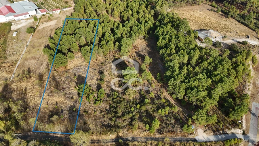 Terreno para Venda em Santa Maria Maior