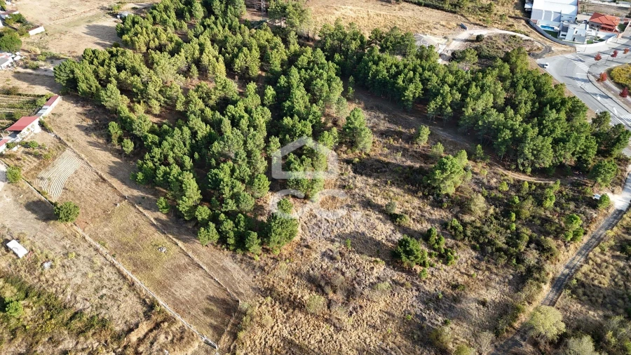Terreno para Venda em Santa Maria Maior Foto 7