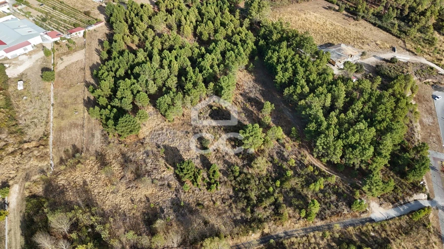 Terreno para Venda em Santa Maria Maior Foto 2