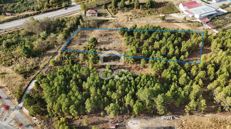 Terreno para Venda em Santa Maria Maior Foto 3