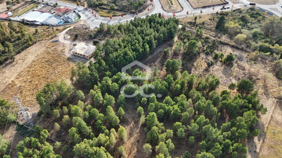 Terreno para Venda em Santa Maria Maior Foto 8