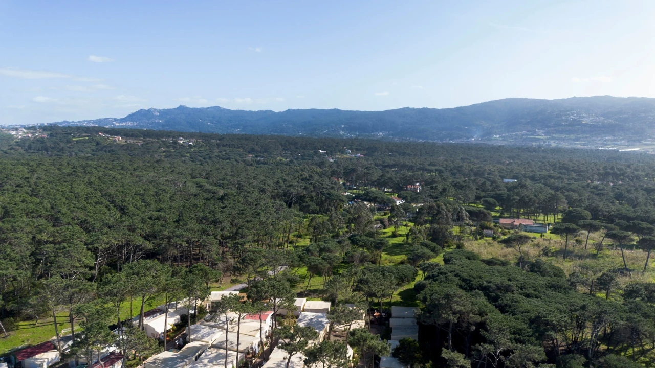 Terreno para Venda em Colares Foto 15