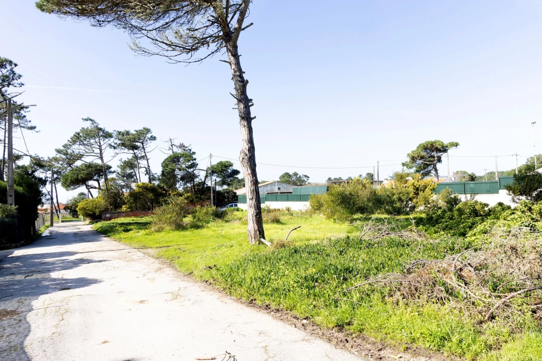 Terreno para Venda em Colares Foto 2