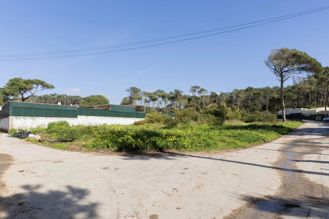 Terreno para Venda em Colares Foto 3