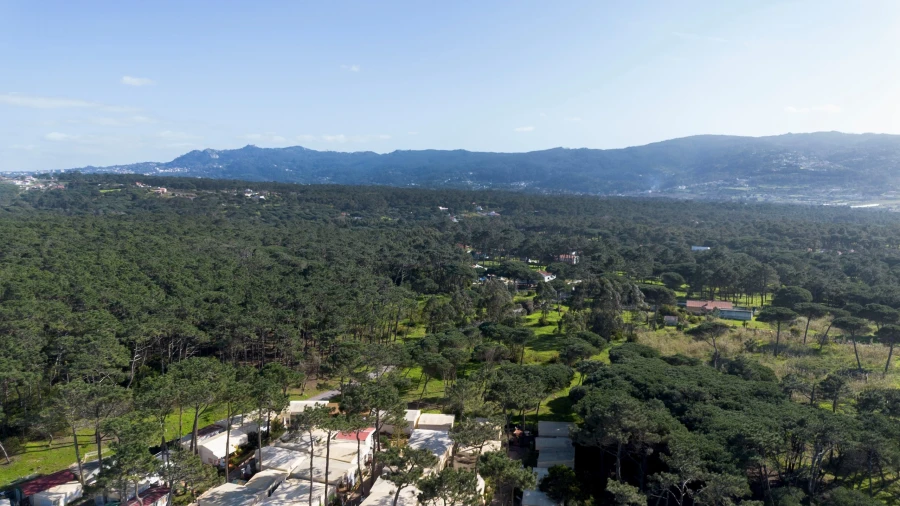 Terreno para Venda em Colares Foto 15