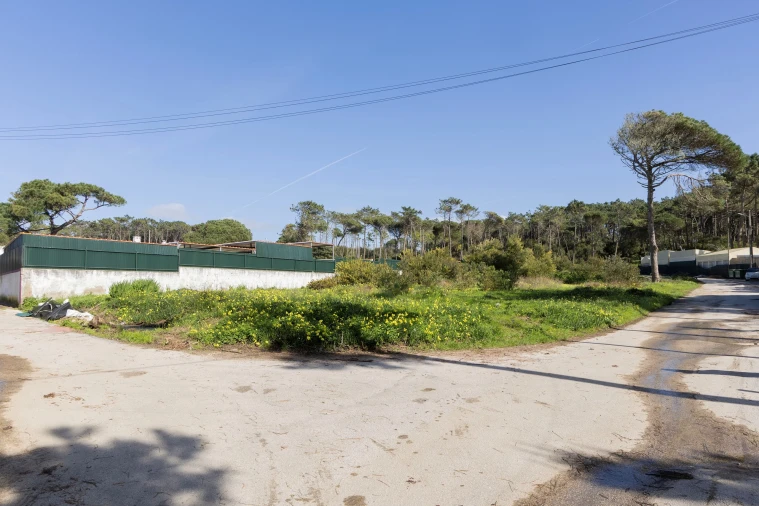 Terreno para Venda em Colares Foto 3