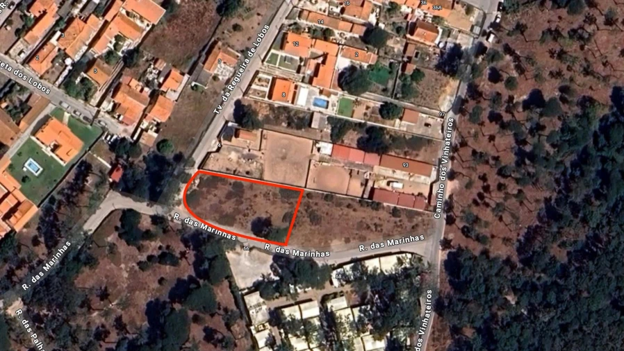 Terreno para Venda em Colares Foto 5