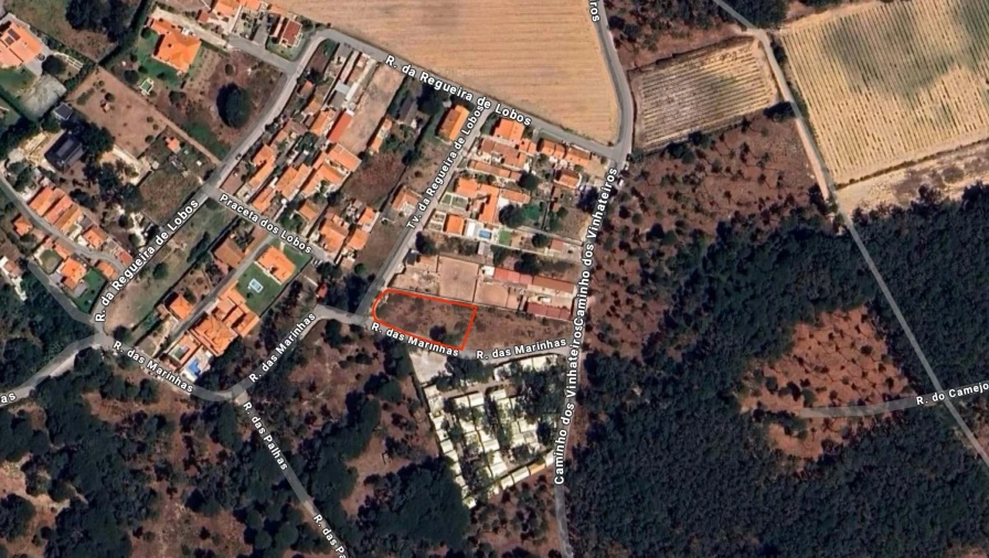 Terreno para Venda em Colares Foto 4