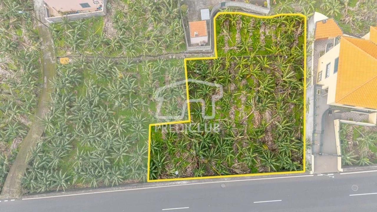 Terreno para Venda em Ribeira Brava Foto 2