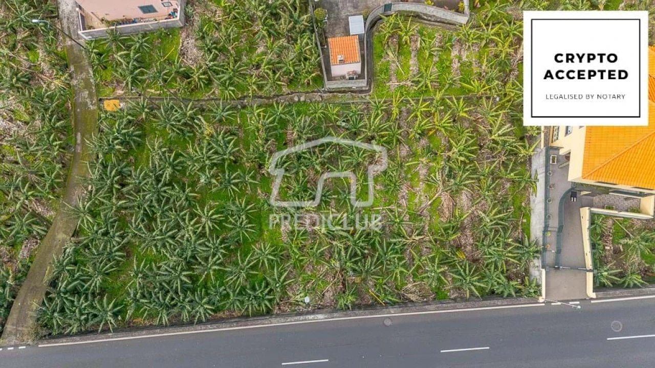 Terreno para Venda em Ribeira Brava Foto 1