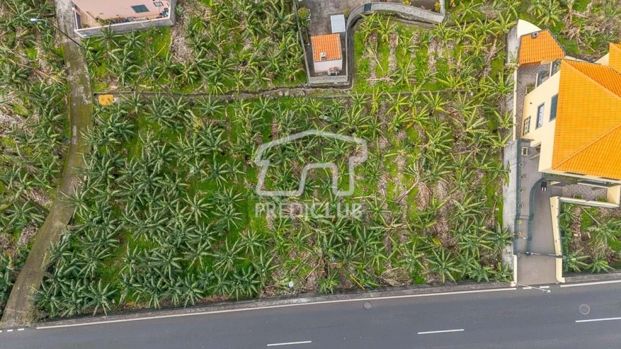 Terreno para Venda em Ribeira Brava Foto 5