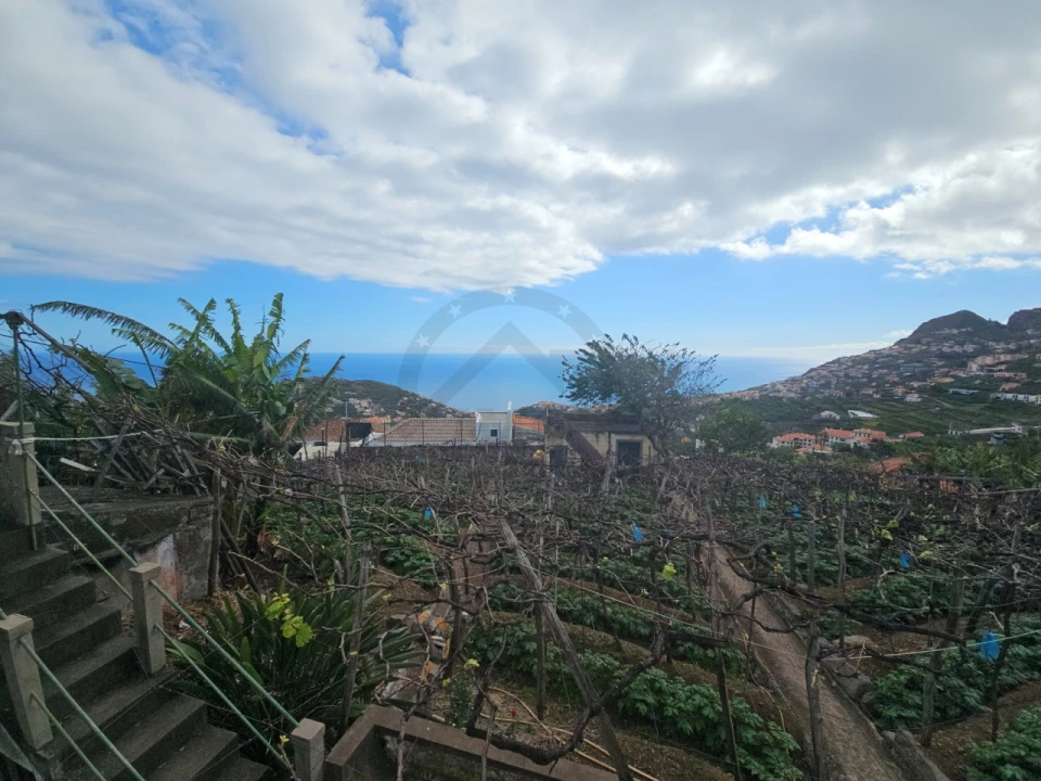 Quarto para Arrendamento em Camara de Lobos Foto 6