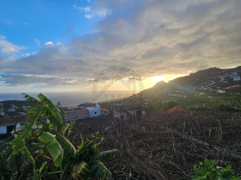 Quarto para Arrendamento em Camara de Lobos Foto 15