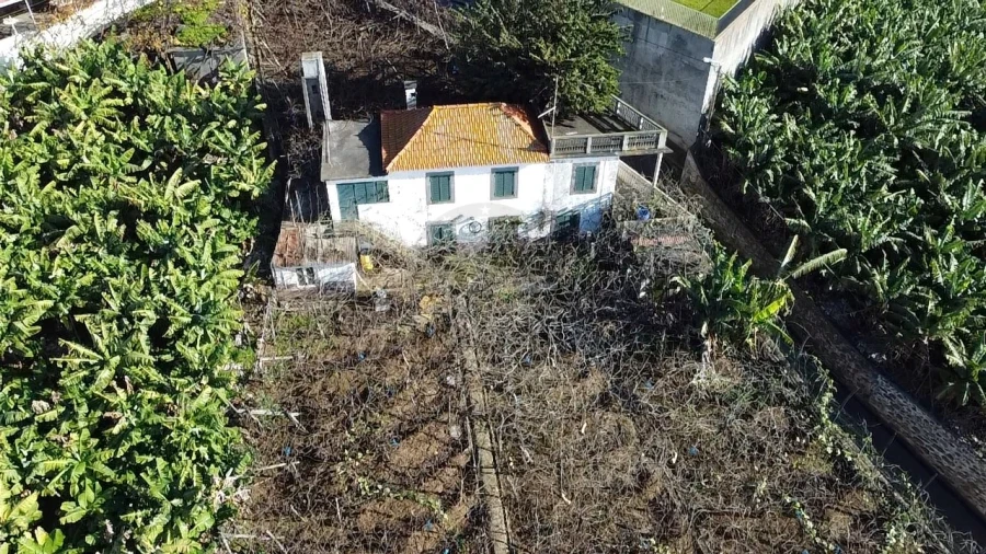 Quarto para Arrendamento em Camara de Lobos
