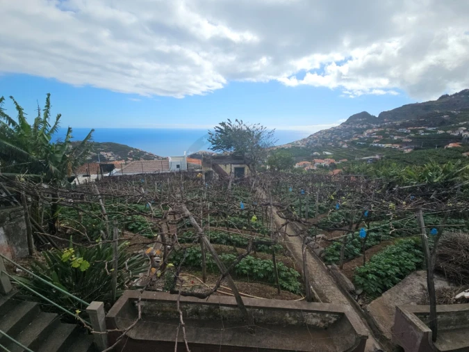 Quarto para Arrendamento em Camara de Lobos Foto 5