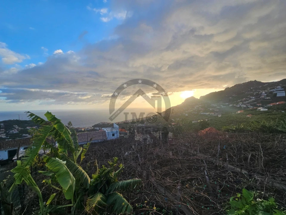 Quarto para Arrendamento em Camara de Lobos Foto 15