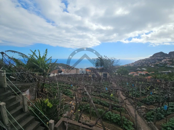 Quarto para Arrendamento em Camara de Lobos Foto 2